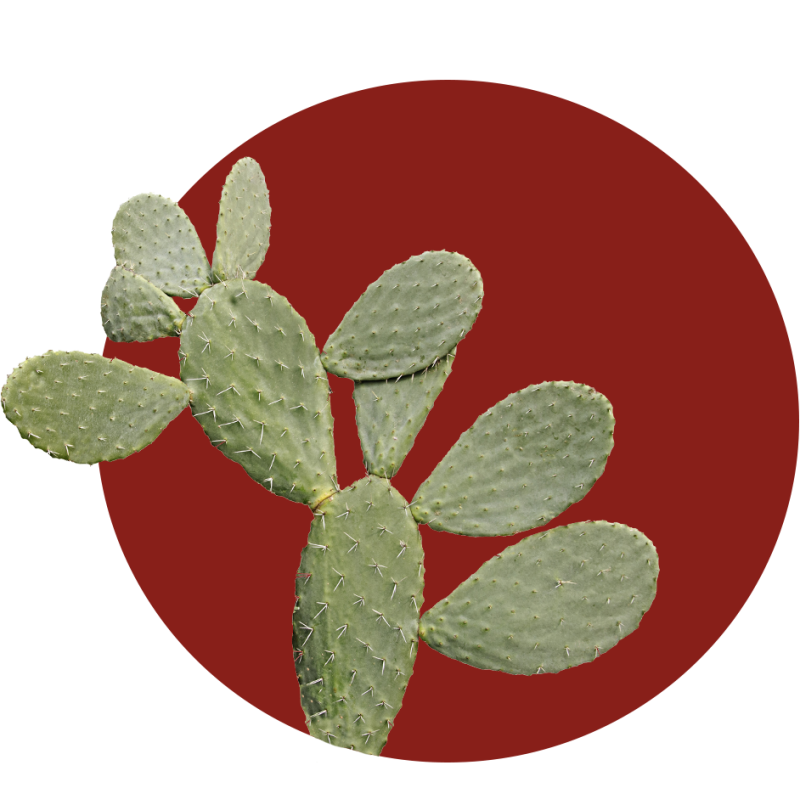 Eat Rock - Restaurant rue Paradis Marseille - restaurant Brésilien Marseille